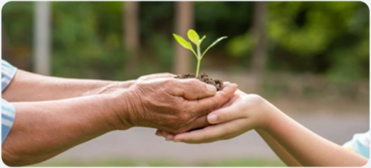 Mãos protegendo uma pequena muda de planta